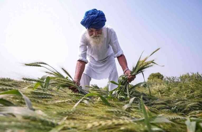 यूपी में बेमौसम बारिश और ओलों का कहर,गेहूं की 40% फसल बर्बाद, किसानों के समर्थन में मैदान में उतरे CM योगी