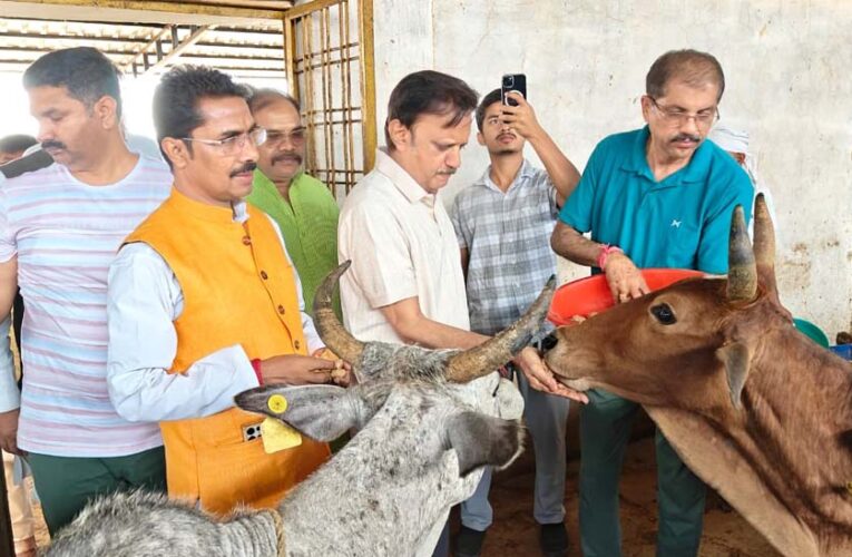 हिनौती गौधाम गौ संरक्षण एवं प्राकृतिक खेती का दिव्यधाम बनेगा : उप मुख्यमंत्री