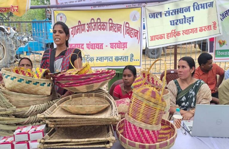 आत्मनिर्भरता की मिसाल बनीं ग्रामीण महिलाएं,  गृह उद्योग और हस्तशिल्प से संवर रहा भविष्य