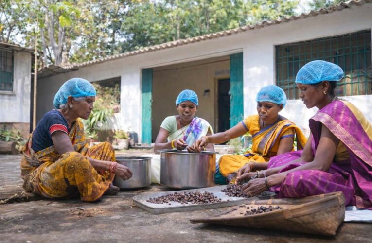 रायपुर : वन धन विकास केंद्र पंचक्की : स्व-सहायता समूहों को 23 लाख से अधिक की वार्षिक आय