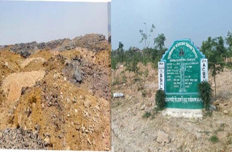 रायपुर : बंजर डंप क्षेत्र से हरा-भरा जंगल बनने की ओर गेवरा की अनूठी पहल