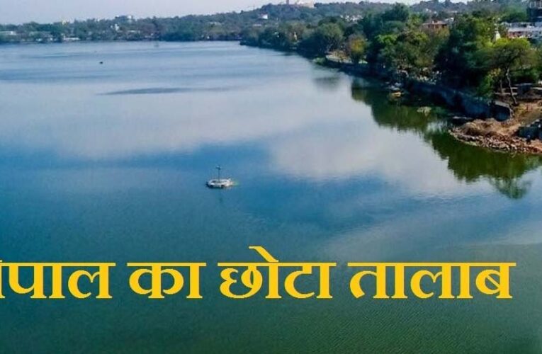 भोपाल के छोटे और शाहपुरा तालाब की सुरक्षा और सुंदरीकरण के लिए नगर निगम ने तैयार की 11.5 करोड़ रुपये की कार्ययोजना
