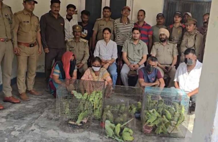 जगदलपुर में वन विभाग टीम पर हमला, तोतों की अवैध बिक्री पर कार्रवाई के दौरान हंगामा