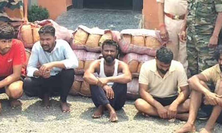 महासमुंद में बड़ा ड्रग्स ऑपरेशन: डेढ़ करोड़ का गांजा जब्त, 5 तस्कर गिरफ्तार