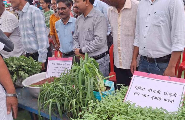 हरी खाद से बदल रही खेती की तस्वीर: कम लागत, बेहतर मुनाफा और स्वस्थ मिट्टी’