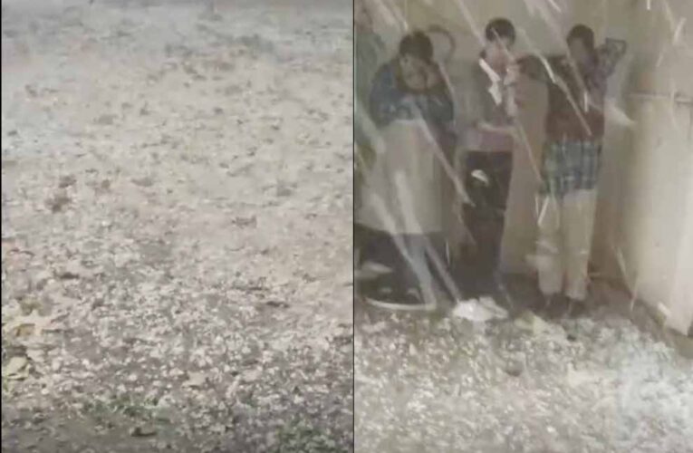 ग्वालियर में मौसम का यू-टर्न: धूप के बाद ओलों की मार, ‘बर्फबारी’ जैसे नजारे से सहमा शहर