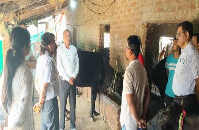 पशुओं में नस्ल सुधार का कार्य बेहतर ढंग से करें : प्रमुख सचिव  उमराव