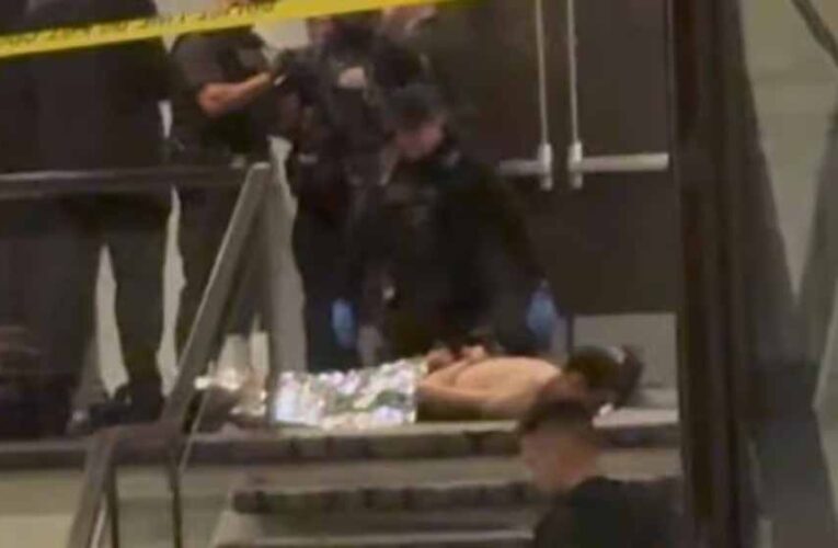 “सीक्रेट सर्विस ने दिखाई बहादुरी”— Donald Trump का व्हाइट हाउस फायरिंग पर बड़ा बयान