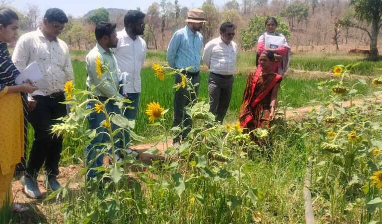 दीदी के बखरी से बदल रही तस्वीर : कांकेर में महिला किसानों की आय में क्रान्तिकारी