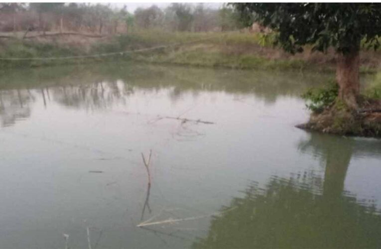 डबरी, मछली पालन और बहुफसली खेती से बदली तकदीर—सगनू बने गांव के प्रेरणास्रोत