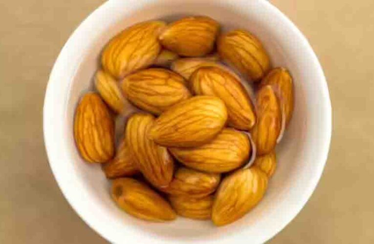 न्यूरोलॉजिस्ट ने बताए बादाम खाने के 4 सबसे सही तरीके, दिमाग की ताकत और याददाश्त बढ़ाने के लिए ऐसे करें सेवन
