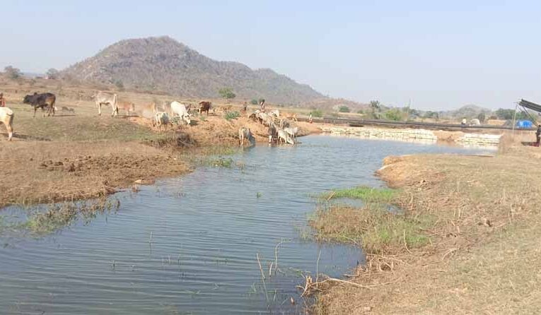 मनरेगा से पनारी नाले का जीर्णोद्धार: 1200 ग्रामीणों को पेयजल व सिंचाई का लाभ