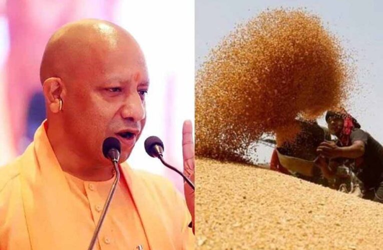 सरकार ने असमय बारिश से प्रभावित गेहूं पर दी राहत, पूरे प्रदेश में शिथिल मानकों के साथ होगी खरीद