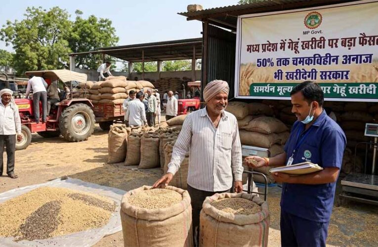 मध्य प्रदेश में गेहूं खरीदी पर बड़ा फैसला: 50% तक चमकविहीन अनाज भी खरीदेगी सरकार