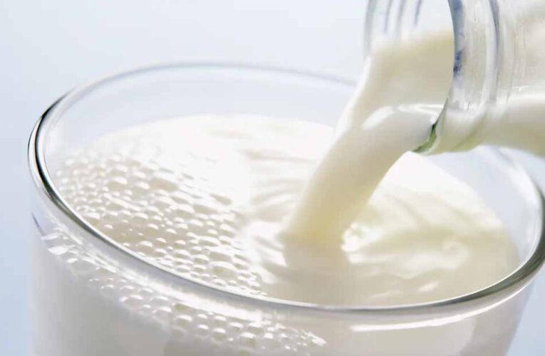 17 से होगा दुग्ध स्वर्ण महोत्सव-2026: एक साथ एकत्र होंगे 10 हजार पशुपालक/दुग्ध उत्पादक