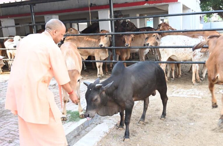 सीएम योगी के निर्देश पर चार बड़ी महत्वाकांक्षी योजनाएं पूरे प्रदेश में लागू, ग्रामीण अर्थव्यवस्था को मिलेगी नई ताकत