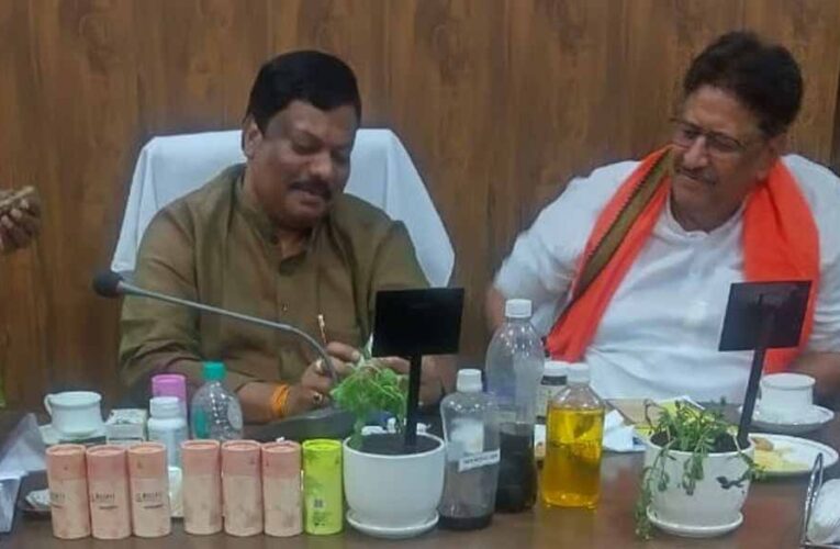 सतावर की खेती से किसानों की होगी बंपर कमाई, खेत की मेड़ बनेगी अतिरिक्त आय का जरिया