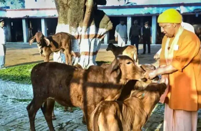 यूपी में गोशालाओं को मिलेगा नया बिजनेस मॉडल, जैविक खेती पर जोर