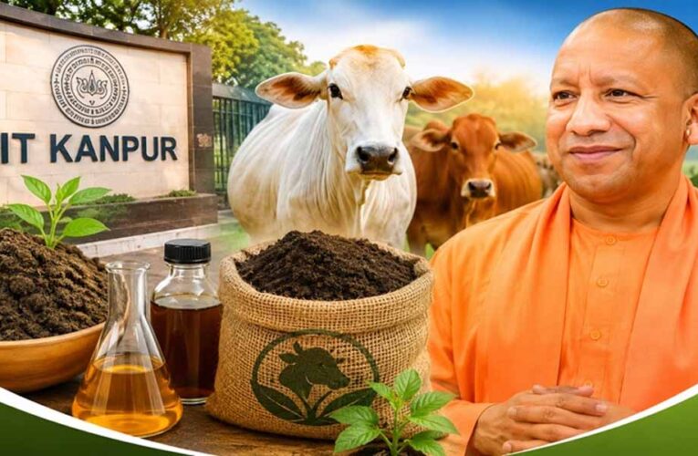 यूपी में गोशालाएं बनेंगी रोजगार का नया केंद्र, IIT कानपुर की तकनीक से तैयार होगा जैविक खाद