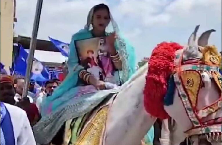 उदयपुर में दुल्हन का अनोखा विरोध, घोड़ी पर बैठकर कलेक्ट्रेट पहुंची पूजा मेघवाल