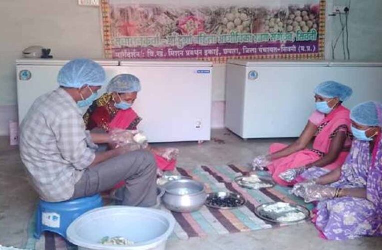 सीताफल उत्पादन एवं प्रसंस्करण से महिला स्व-सहायता समूहों की आर्थिक स्थिति में सुधार