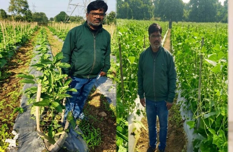उद्यानिकी की आधुनिक तकनीकों से किसान महेश कश्यप की बदली तकदीर