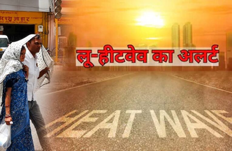MP में भीषण गर्मी का कहर, जानवरों के लिए लगाए कूलर-ग्रीन नेट; 6 जिलों में हीटवेव अलर्ट
