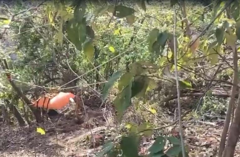 महाबलेश्वर में दर्दनाक हादसा! 800 फीट गहरी खाई में गिरी स्कॉर्पियो, 8 युवकों की मौत