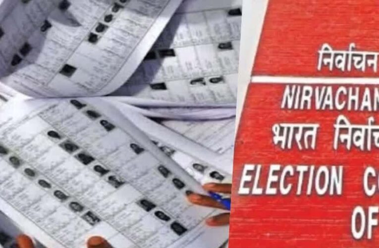 दिल्ली में SIR अभियान शुरू: 30 जून से घर-घर जाएंगे BLO, जानिए पूरा शेड्यूल और प्रक्रिया