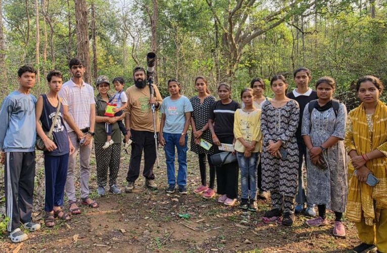 बारनवापारा के देवपुर जंगल में दिखी दुर्लभ विशाल भारतीय गिलहरी
