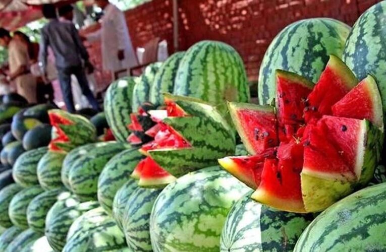 तरबूज से मौत की खबरों का असर, खरीदार गायब; कई शहरों में दाम 30% तक गिरे