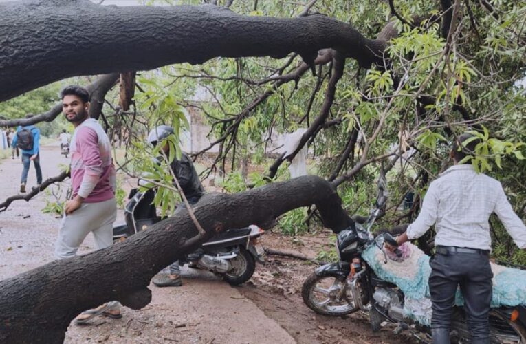 MP Weather Update: ग्वालियर-मुरैना में बारिश, 6 जिलों में लू और आंधी-ओलों का अलर्ट