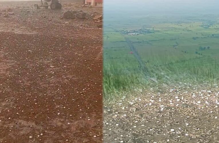 नौतपा में बदला मौसम का मिजाज! MP में आंधी-तूफान और ओलावृष्टि का अलर्ट, कई जिलों में बारिश