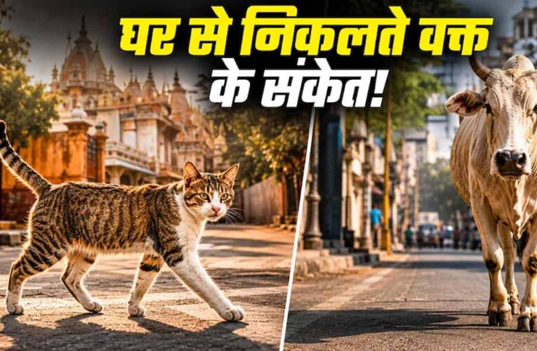 घर से निकलते समय दिखें ये संकेत हो सकते हैं शुभ या अशुभ