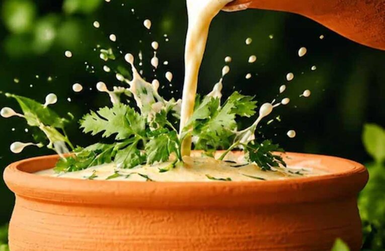 गर्मी से राहत: घर पर बनाएं पुदीना तड़का छाछ, पेट और शरीर दोनों को ठंडक मिलेगी