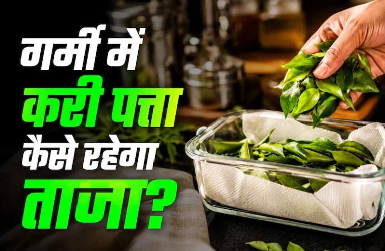 करी पत्ता स्टोर करने के आसान तरीके: महीनों तक रहेगा फ्रेश और हरा-भरा