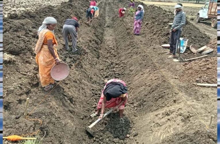 जल गंगा संवर्धन अभियान-पुष्पराजगढ़ में ‘जल गंगा संवर्धन अभियान’ से हो रहा है नहर सुदृढ़ीकरण