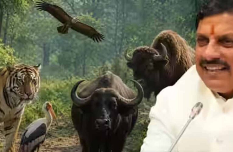 मध्य प्रदेश बना वन्यजीव संरक्षण का मॉडल, कूनो से वैश्विक पहचान