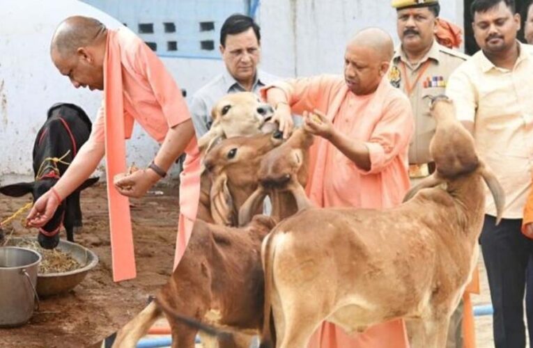 गो सेवा से समृद्धि का मॉडल, यूपी में डेयरी सेक्टर बना ग्रामीण अर्थव्यवस्था का मजबूत आधार