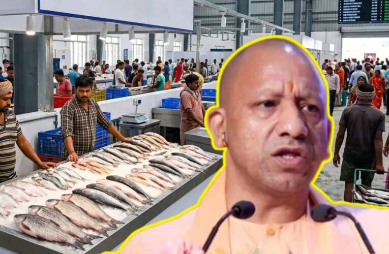 यूपी में मत्स्य कारोबार को मिलेगा बड़ा बूस्ट, गोरखपुर-मुरादाबाद में बनेंगी आधुनिक फिश मंडियां
