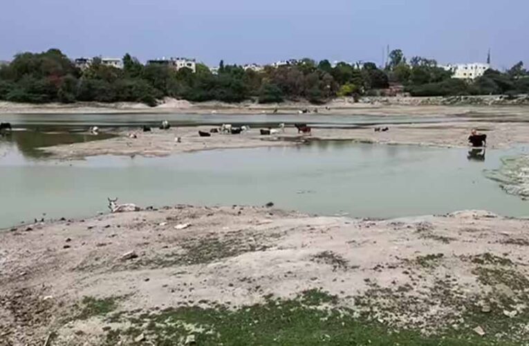 संजय झील में सैकड़ों मछलियों की मौत, पानी की आपूर्ति बाधित होने से बिगड़ा हालात