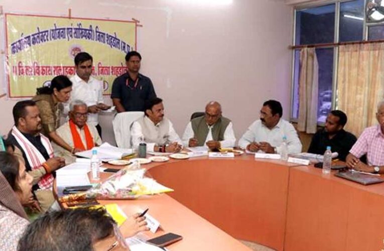 निर्माणाधीन विकास कार्यों के पूर्ण होने से जिले के विकास की बढ़ेगी रफ्तार : उप मुख्यमंत्री शुक्ल