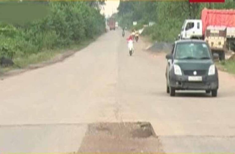रायगढ़ में दर्दनाक हादसा, भारतमाला सड़क पर तेज रफ्तार वाहन ने 7 बैलों को कुचला; 5 की मौत