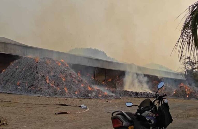 तेंदूपत्ता अग्निकांड पर बड़ा एक्शन, बीजापुर के DFO हटाए गए
