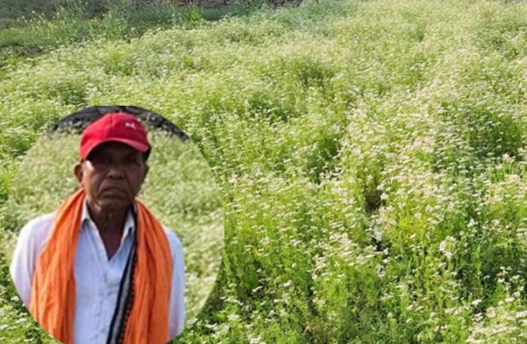 महासमुंद के किसान रतिराम की बदली किस्मत, धनिया की खेती से बढ़ी आमदनी