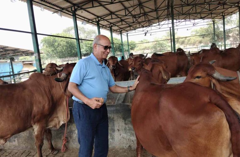राष्ट्रशक्ति और आर्थिक समृद्धि का नया मॉडल बन रहा गो संरक्षण