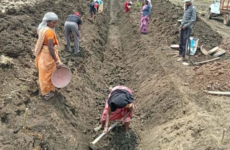 पुष्पराजगढ़में ‘जल गंगा संवर्धन अभियान’ से हो रहा है नहर सुदृढ़ीकरण