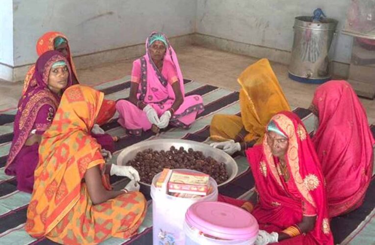 कल्दा वन-धन विकास केंद्र बना जनजातीय महिला उद्यमिता का प्रतीक