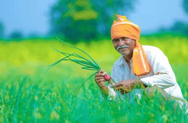 बदलती खेती में नैनो यूरिया और नैनो डीएपी बन रहे किसानों की नई पसंद