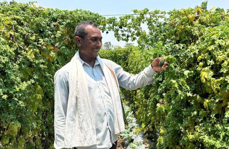 वाटरशेड योजना बनी किसान छबी लाल की समृद्धि का आधार
